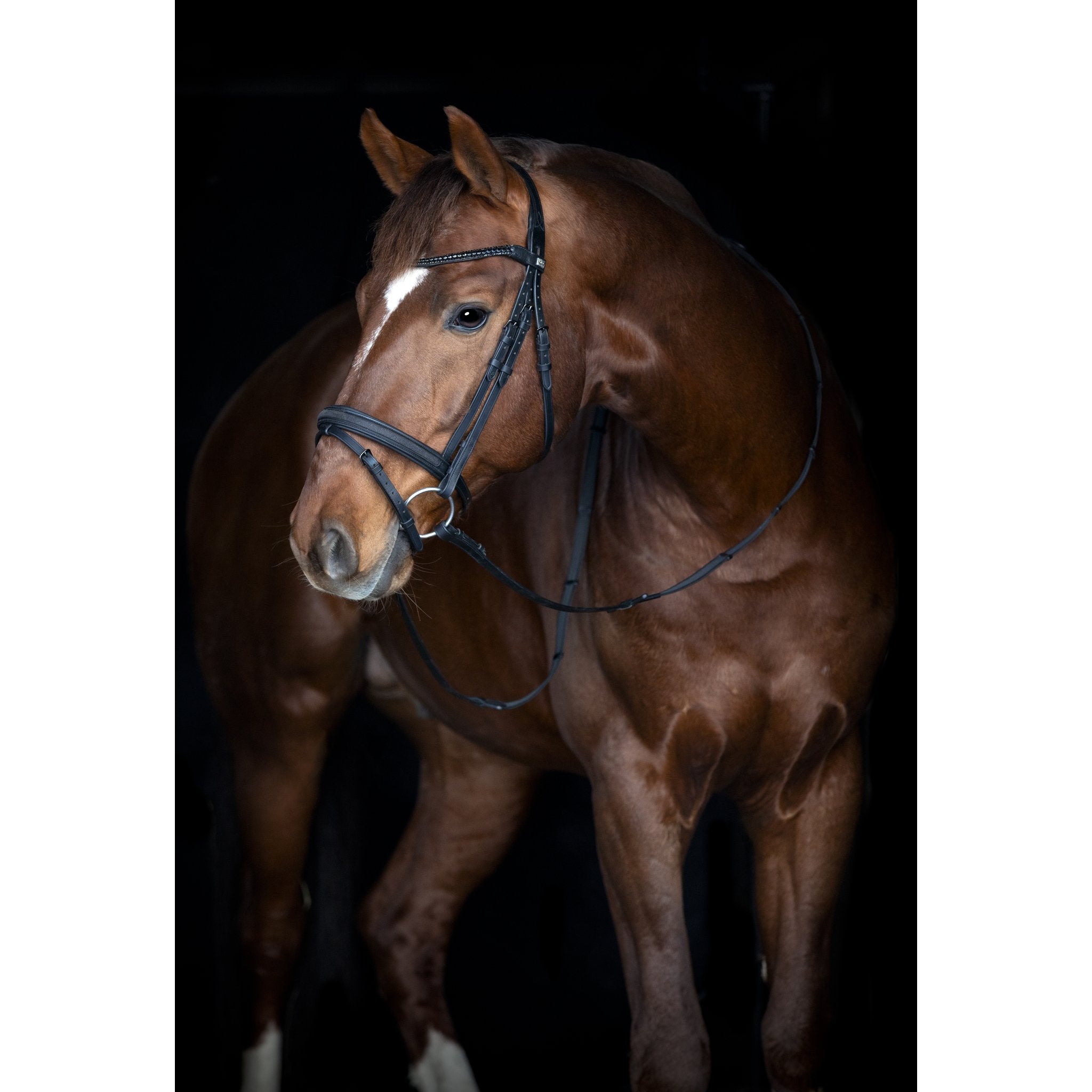 Horse Guard Emi 26.2 träns med kombinerad nosgrimma