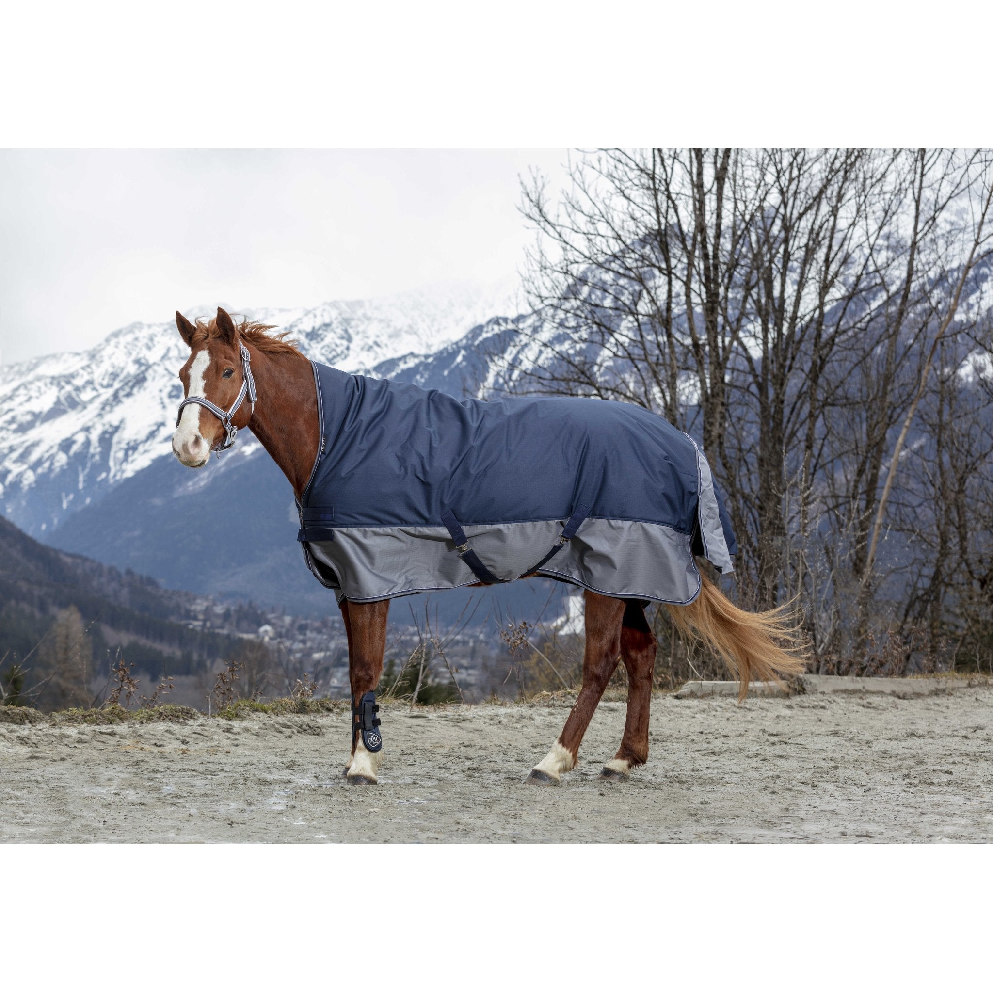Equithème TYREX 600D utetäcke med hög hals 150 g
