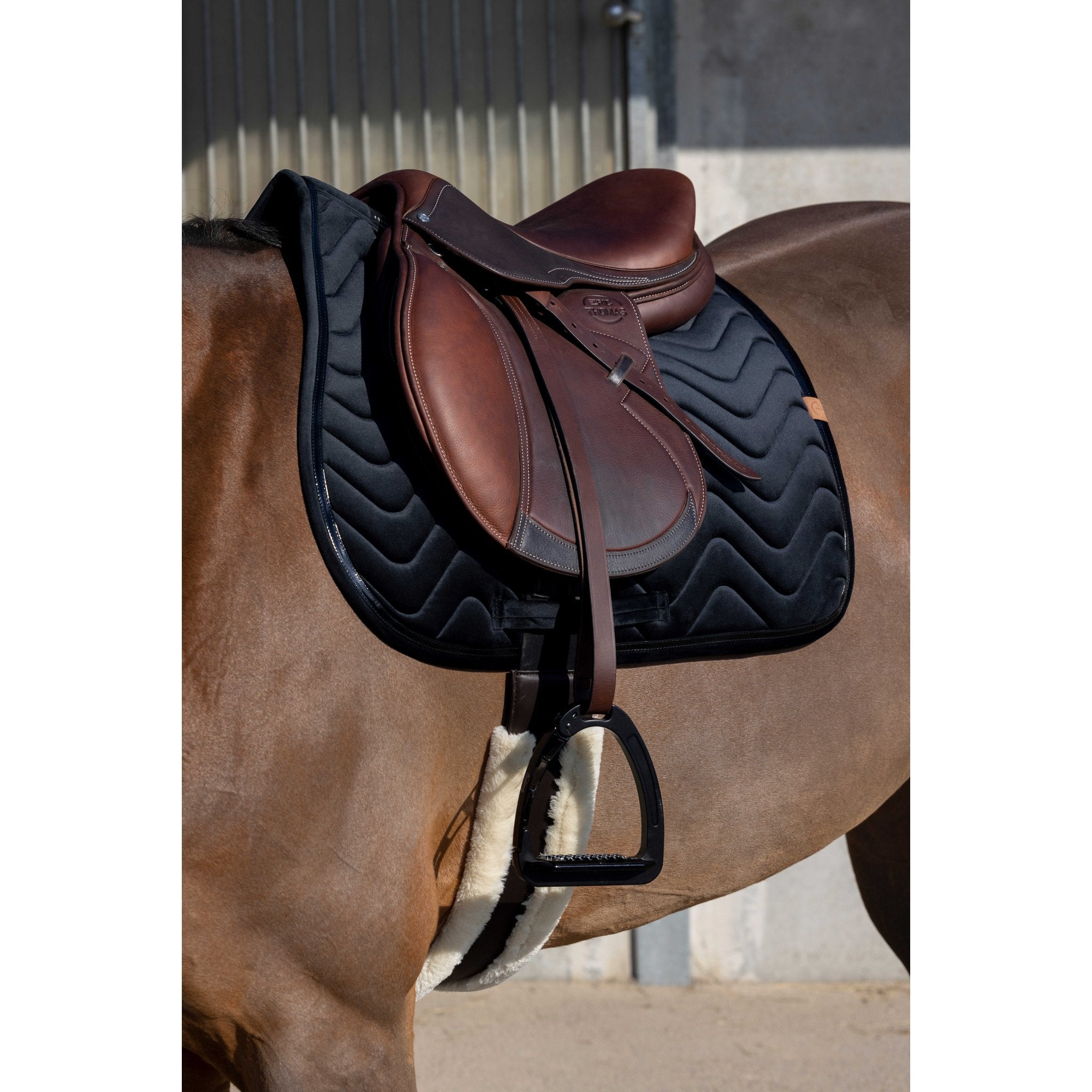 Equithème Glossy Schabrak