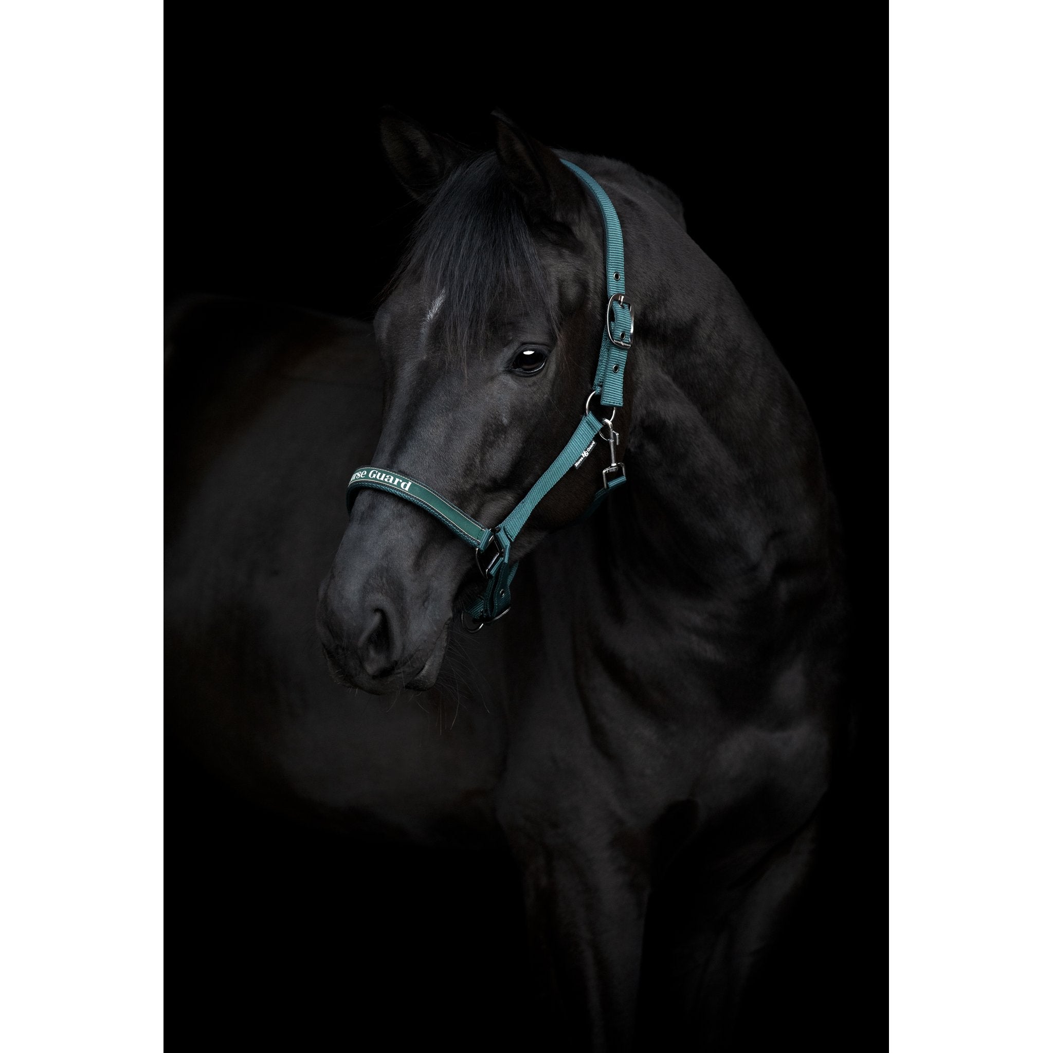 HorseGuard Sandra grimma