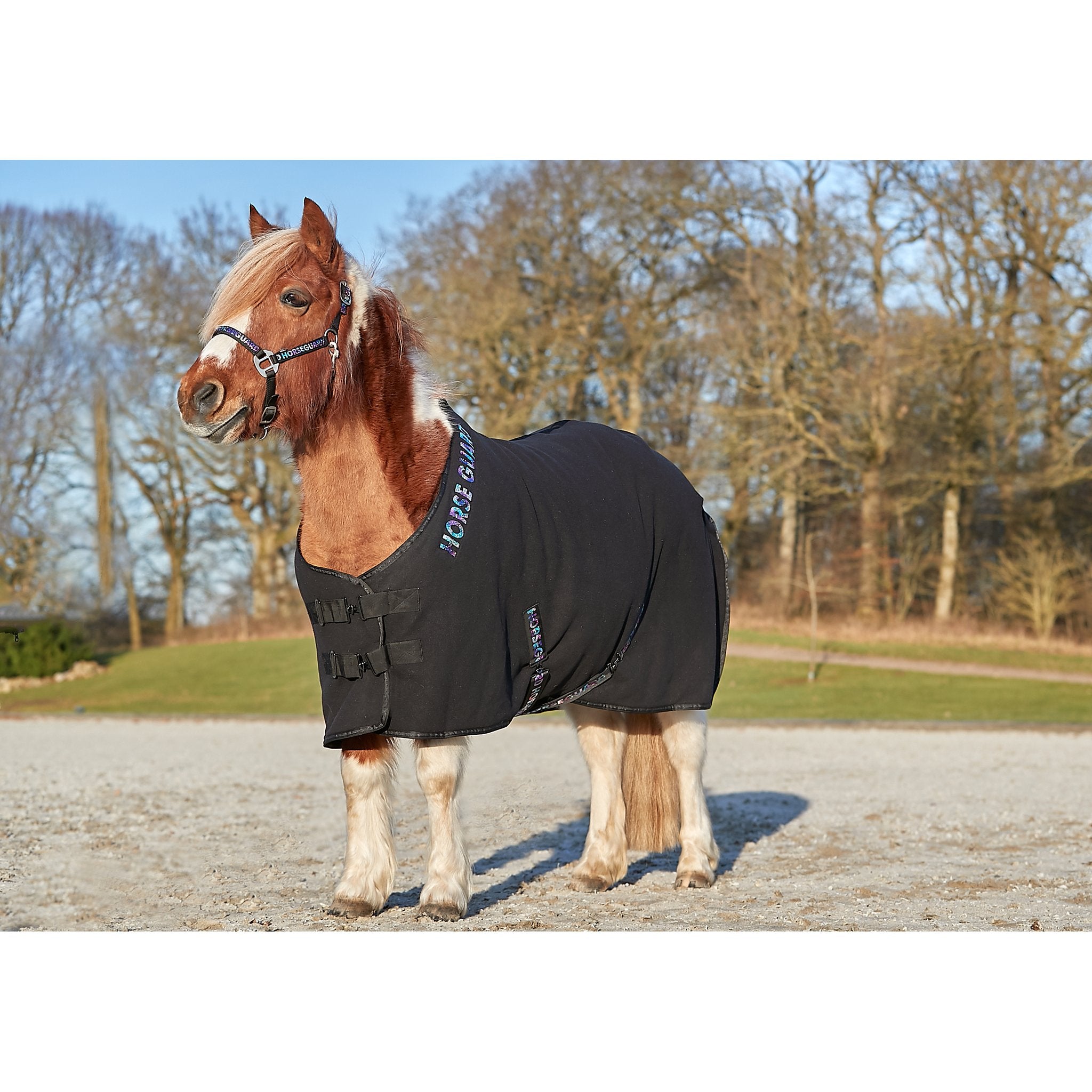 HorseGuard Liba Logo grimma
