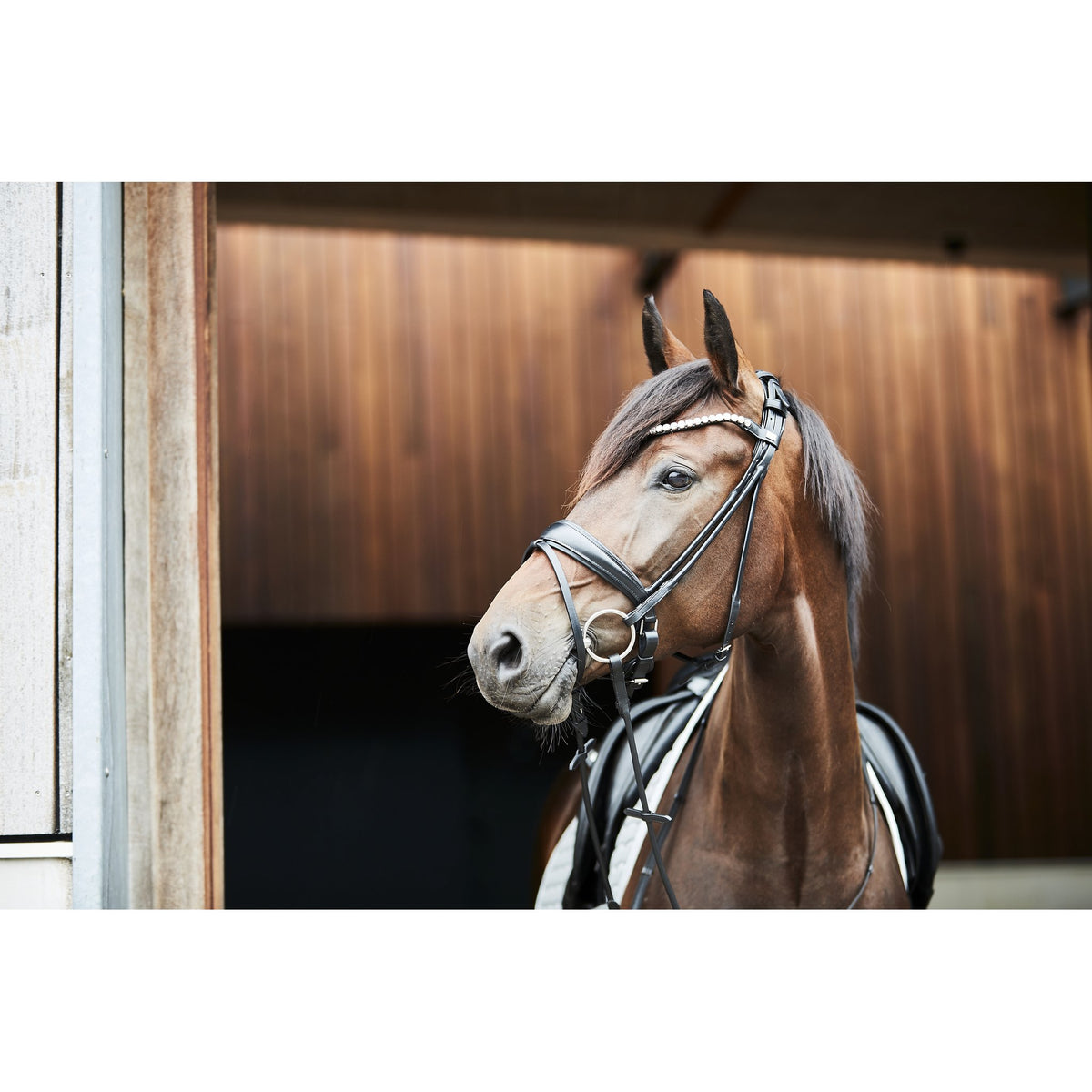 HorseGuard Kava roundsewn bridle without reins