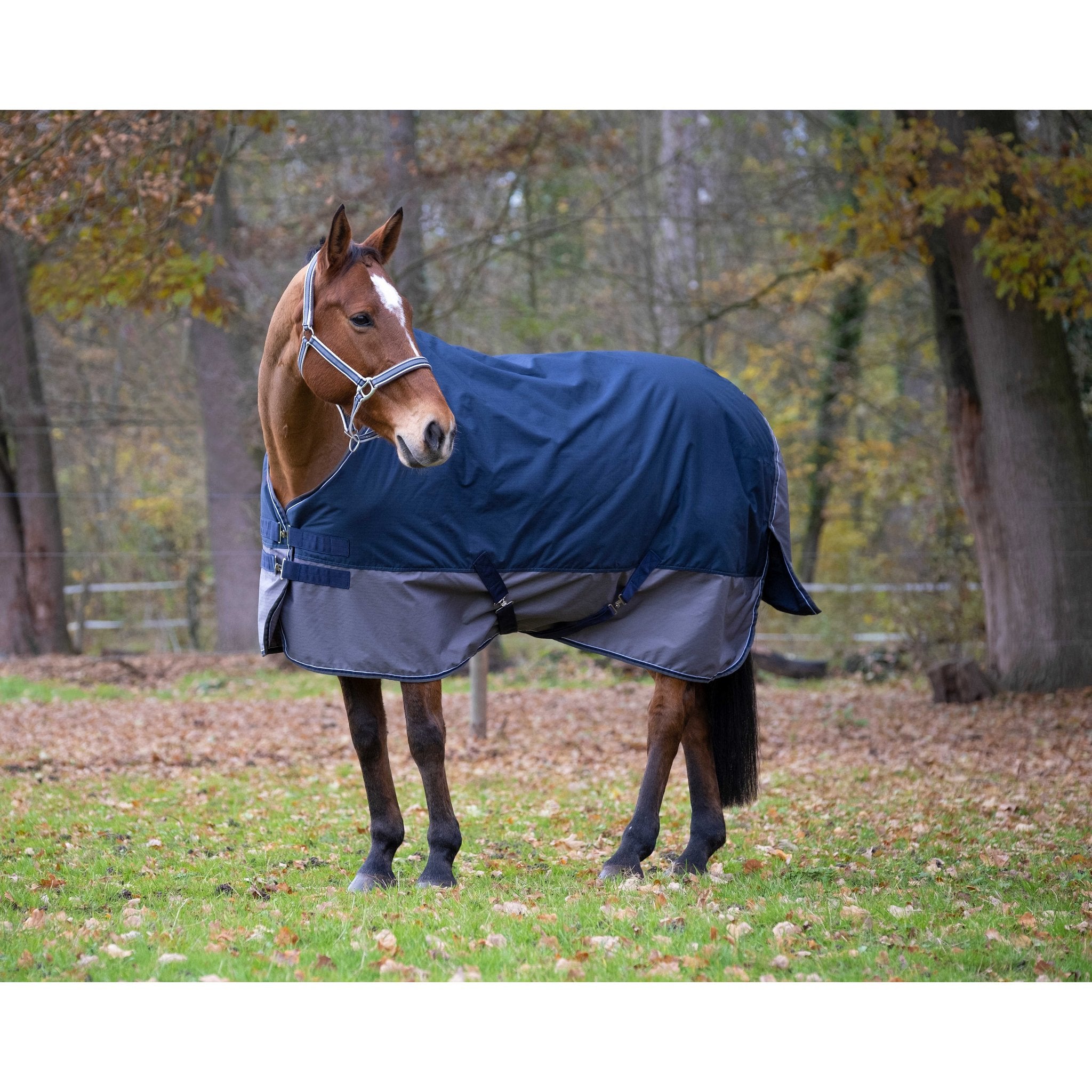 Equithème TYREX 600D Turnout täcke 300 g