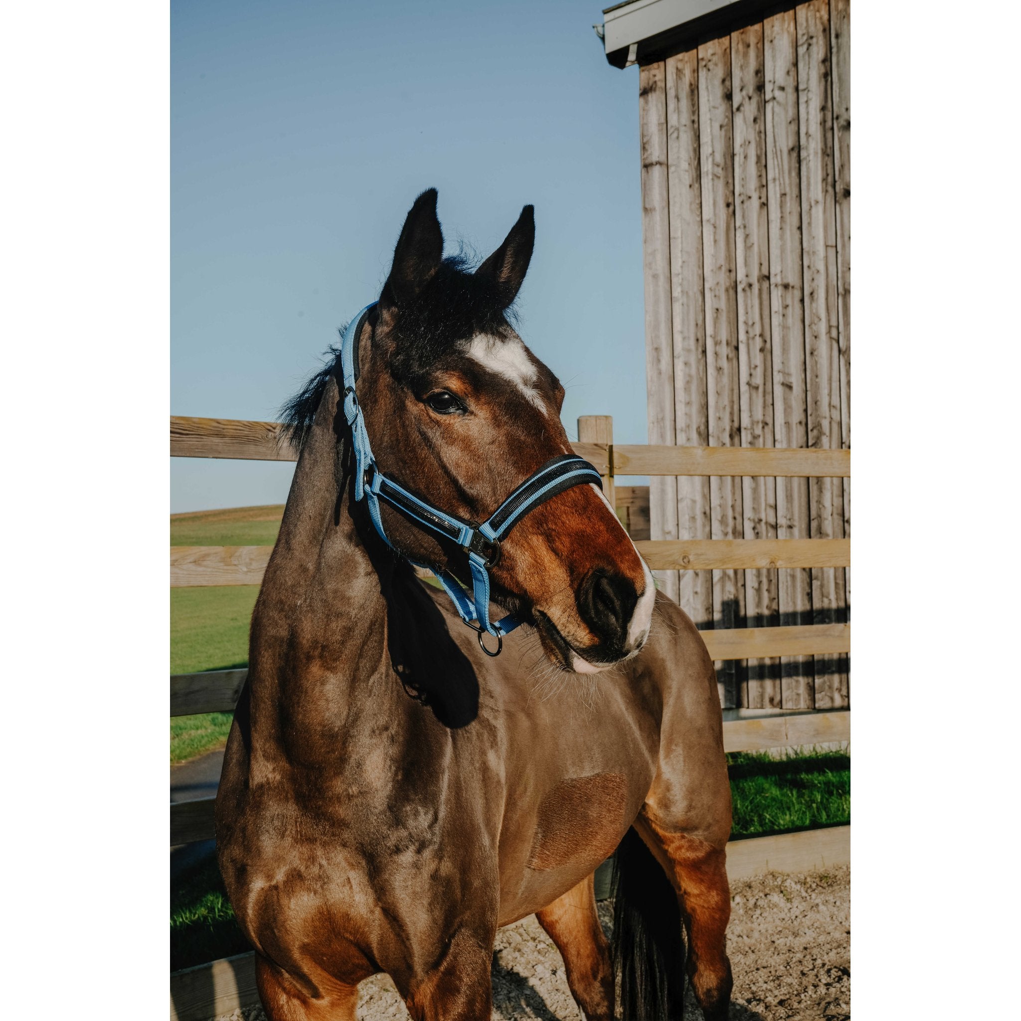 Equitheme Strass grimma