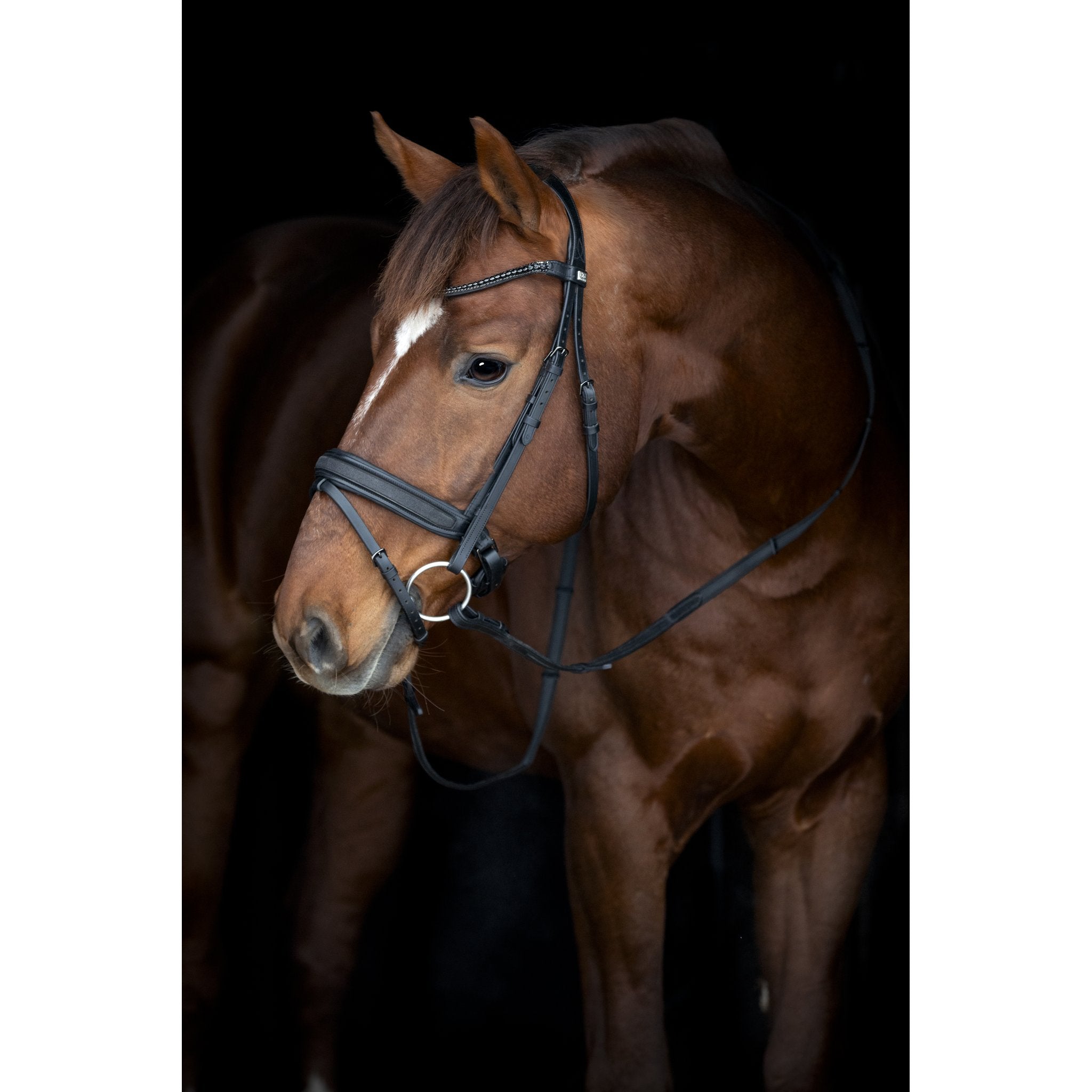 Horse Guard Cryll 26.2 träns med pull-back och kombinerat nosgrimma