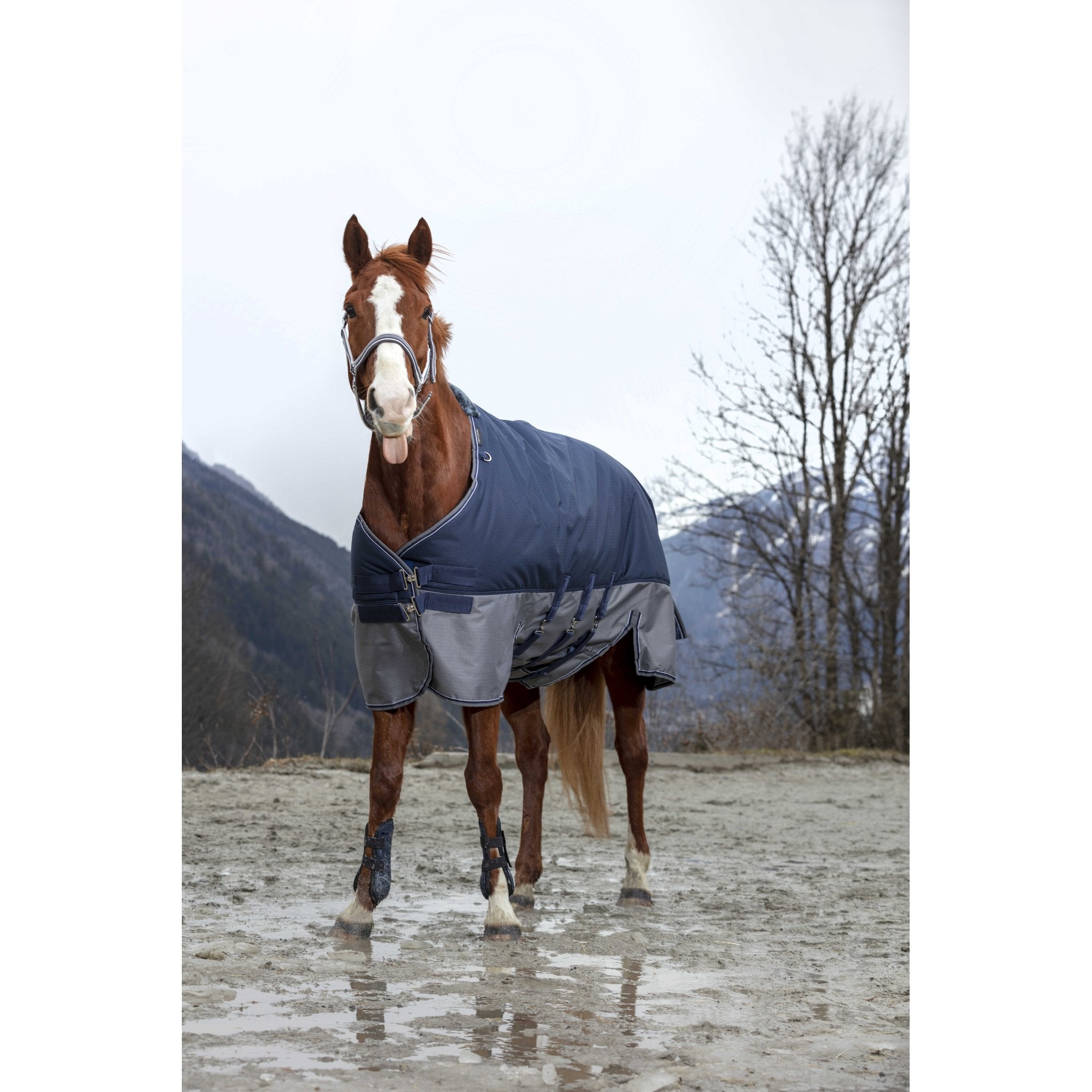 Equithème TYREX 600D Turnout täcke med magskydd 300 g