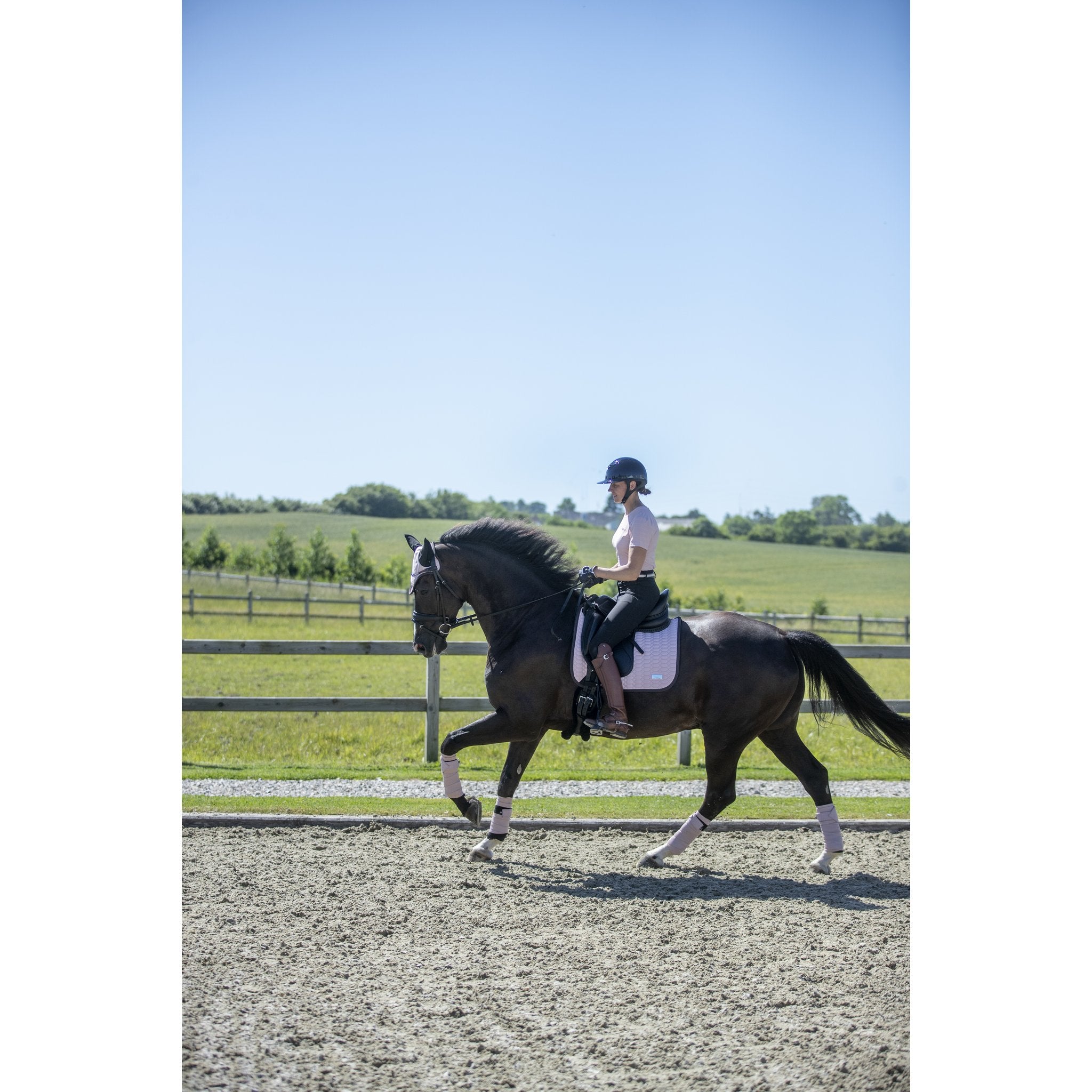 CATAGO FIR-Tech Grand Benlindor